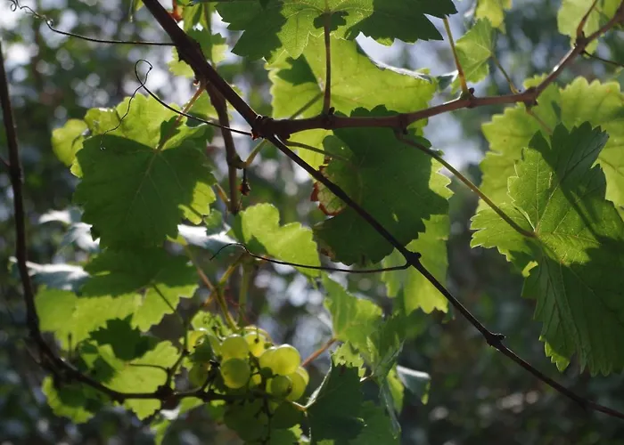 Hébergement de vacances Haus Im Gruenen Egsdorf